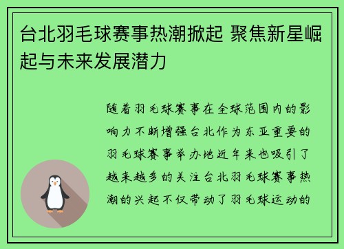 台北羽毛球赛事热潮掀起 聚焦新星崛起与未来发展潜力
